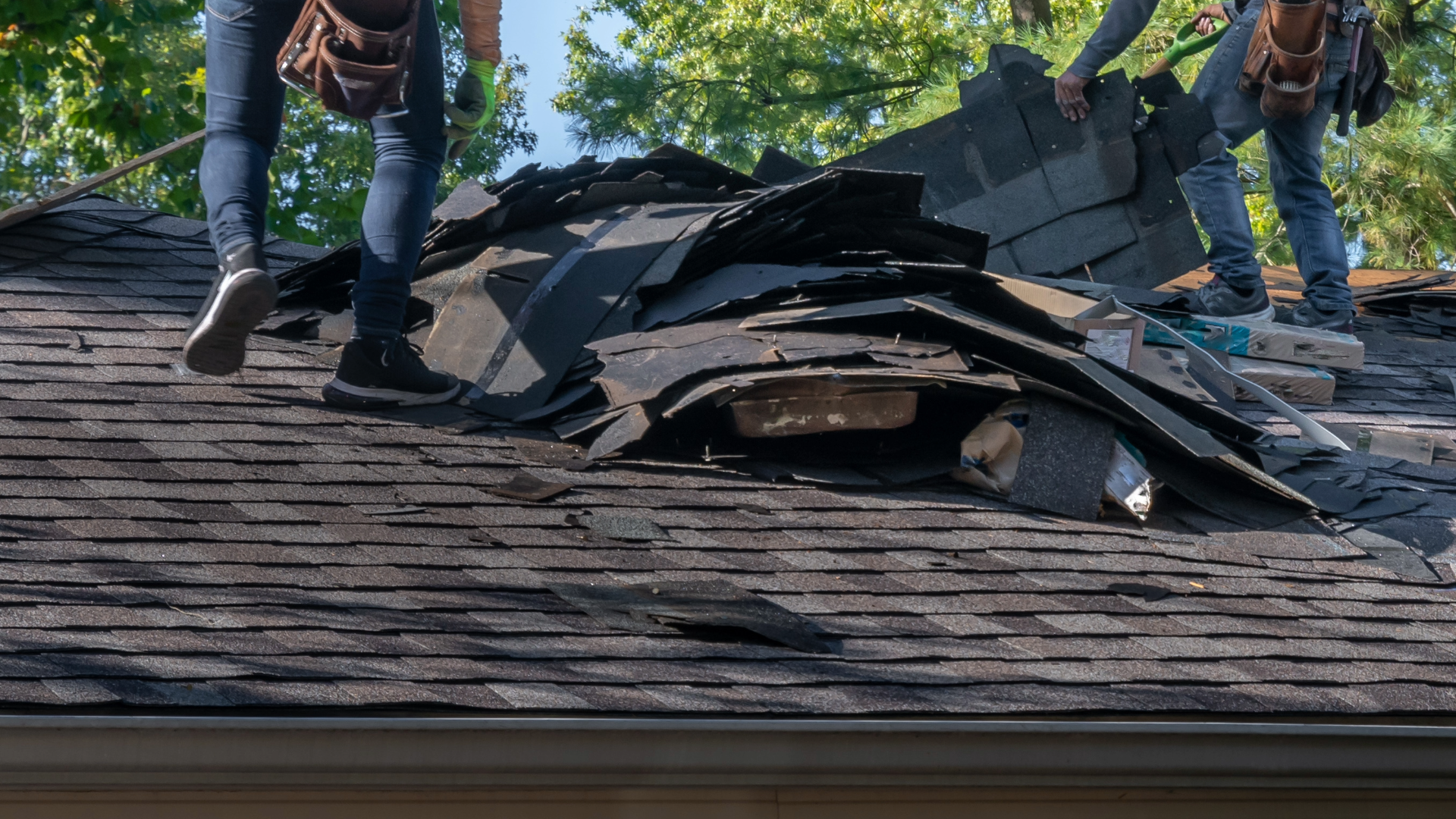 Roofers remove old shingles to toss in construction dumpsters for removal.